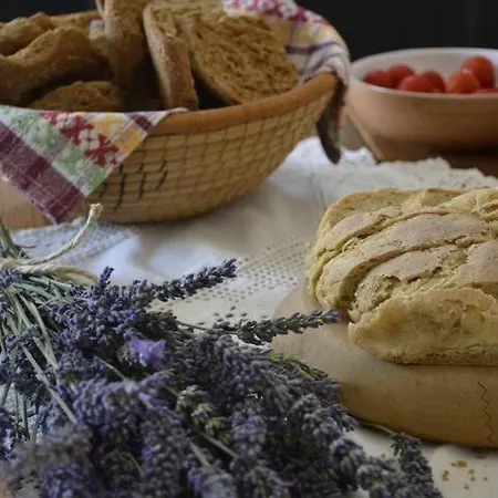 La Dimora Del Borgo فندق مبيت وإفطار Patù
